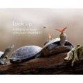 1art1 Inspiration Poster - Enjoy The Beauty of The Present Moment (20 x 16 inches) 1art1 Inspiration Poster - Enjoy The Beauty of The Present Moment (20 x 16 inches)