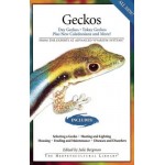 Geckos: Day Geckos, Tokay Geckos Plus New Caledonians and More!