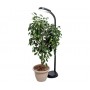 AgroBrite Floor Plant Light with 27-Watt CFL