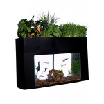 AquaSprouts Garden