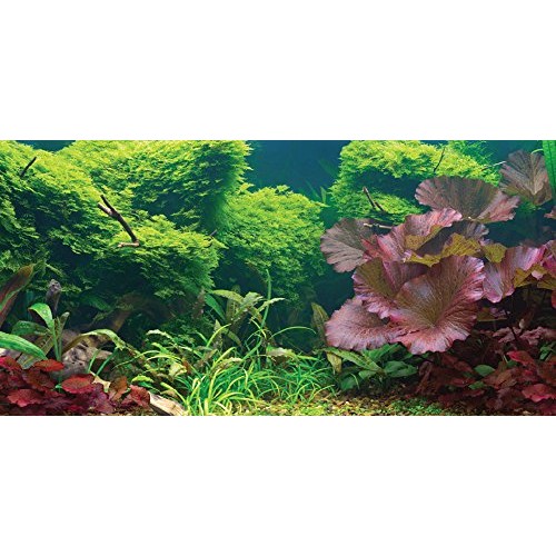 Aquatic Creations Static Cling Aquarium Background, 24 by 12-Inch, Tropical