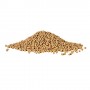 AQUEON Shrimp Pellets 6.5-Ounce Pellets Jar