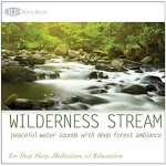 Wilderness Stream: Peaceful Water Sounds with Deep Forest Ambiance (Nature Sounds, Deep Sleep Music, Meditation, Relaxation Rivers & Babbling Brooks)