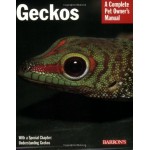 Geckos