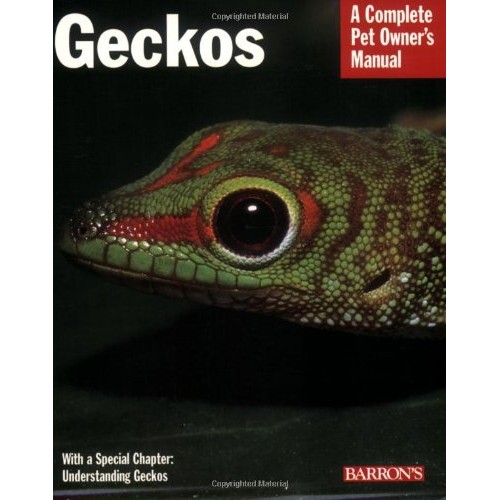 Geckos