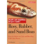 Rosy, Rubber, and Sand Boas