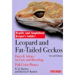 Leopard and Fat-Tailed Geckos