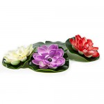 Beckett Corporation Solar Lily Lights for Pond