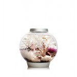 biOrb Classic 15 45620 Aquarium with LED Light - 4 Gallon, Silver