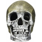 Resin Ornament - Life - like Human Skull