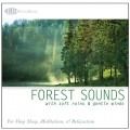 Forest Sounds: with Soft Rains & Gentle Winds (Nature Sounds, Deep Sleep Music, Meditation, Relaxation Sounds of Nature) Forest Sounds: with Soft Rains & Gentle Winds (Nature Sounds, Deep Sleep Music, Meditation, Relaxation Sounds of Nature)