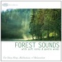 NATURE SOUNDS 4 CD Set - Ocean Waves, Forest Sounds, Thunder, Nature Sounds with Music for Deep Sleep, Meditation, & Relaxation