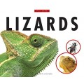 Lizards