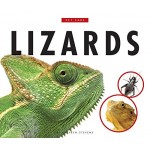 Lizards