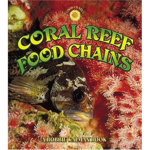 Coral Reef Food Chains