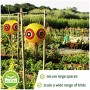 Bird Repellent Scary Eye Balloons: Stops Pest Bird Problems Fast. Reliable Visual Deterrent: Secure Your Property from Damage/Mess. Ward Off Woodpe...