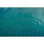 Dewitt Company Pond Netting, 12 by 20-Feet