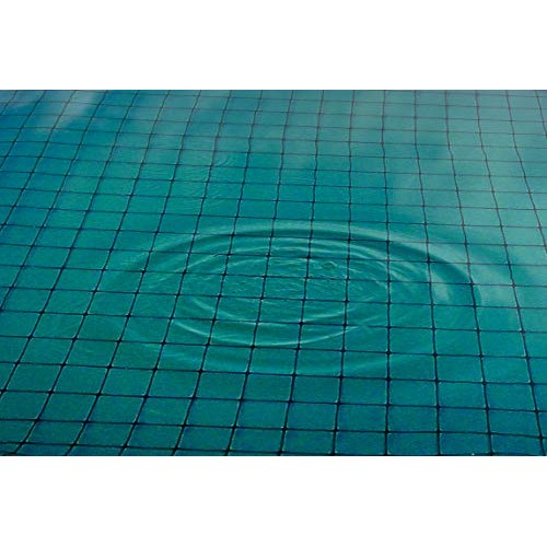 Dewitt Company Pond Netting, 12 by 20-Feet