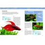 Aquariums: The Complete Guide to Freshwater and Saltwater Aquariums