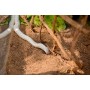 Galapagos 05004 Tropicoco Coconut Soil Bedding, 8-Quart, Natural