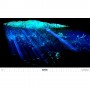 GloFish Aquarium Background, Reversible Cave/Cityscape 1 Count, Complements GloFish Fish Tanks