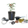 Bubbler Bucket Self-Watering Plant Growing Hydroponic 5-gal DWC H2OtoGro Bubbler Bucket Self-Watering Plant Growing Hydroponic 5-gal DWC H2OtoGro