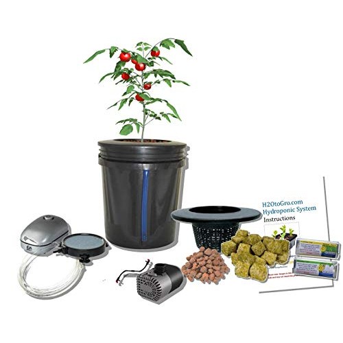 Bubbler Bucket Self-Watering Plant Growing Hydroponic 5-gal DWC H2OtoGro