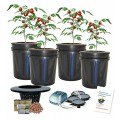 Deep Water Culture Bubbler 4-site Bucket hydroponic System (5-Gal) H2OtoGro