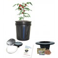 Hydroponic system Complete DWC BUBBLER Bucket Kit 5-gal Hydroponic system Complete DWC BUBBLER Bucket Kit 5-gal