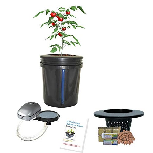 Hydroponic system Complete DWC BUBBLER Bucket Kit 5-gal