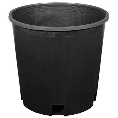 Hydrofarm Premium Nursery Pot, 2-Gallon (15 Per-Pack)