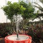 Solar Powered Fountain Pump, JARAGAR 1.2W Free Standing Floating Design Diversified Nozzle Solar Fountain Pump Brushless Bird Bath Fountain Solar P...