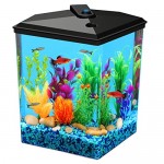 Aquarius Aq25000 Aquarius 2 and 1/2 Corner Tank 2 and 1/2-Gallon Aquarium Kit