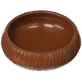 Mealworm Dish Mealworm Dish
