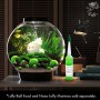 4 LUFFY Giant Marimo Moss Balls - Aesthetically Beautiful & Create Healthy Environment - Eco-Friendly, Low Maintenance & Curbs Algae Growth - Shrim...