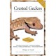 Crested Geckos