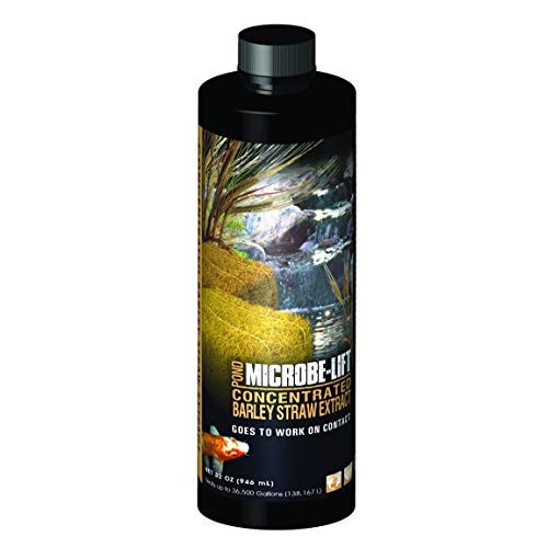 Microbe-Lift 32-Ounce Pond Concentrated Extract Barley Straw MLCBSE1L