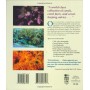 Aquarium Corals: Selection, Husbandry, and Natural History