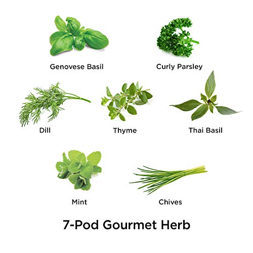 AeroGarden Gourmet Herb Seed Pod Kit (7-Pod)