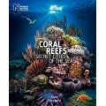 Coral Reefs: Secret Cities of the Sea Coral Reefs: Secret Cities of the Sea