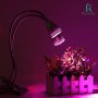 Rozway Dual Head Grow Lamp 10W LED Grow Lights for Added Daylight. | HIGH YIELDS | 360° Goosenecks, Remote Control w/Dual Switches. Grow Light for ...
