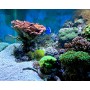 Seachem Reef Kalkwasser Mix, 1 kg