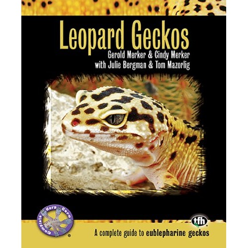 Leopard Geckos: A Complete Guide to Eublepharine Geckos