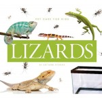 Lizards