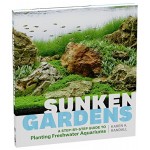 Sunken Gardens: A Step-by-Step Guide to Planting Freshwater Aquariums