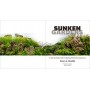 Sunken Gardens: A Step-by-Step Guide to Planting Freshwater Aquariums
