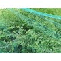 WARKHOME 4m x 10m Bird Netting Green Garden Anti Bird Pond Netting for Plant Protection Mesh Netting Against Birds Pigeon Seagull Holes Size:1.5x1....