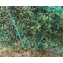 WARKHOME 4m x 10m Bird Netting Green Garden Anti Bird Pond Netting for Plant Protection Mesh Netting Against Birds Pigeon Seagull Holes Size:1.5x1....
